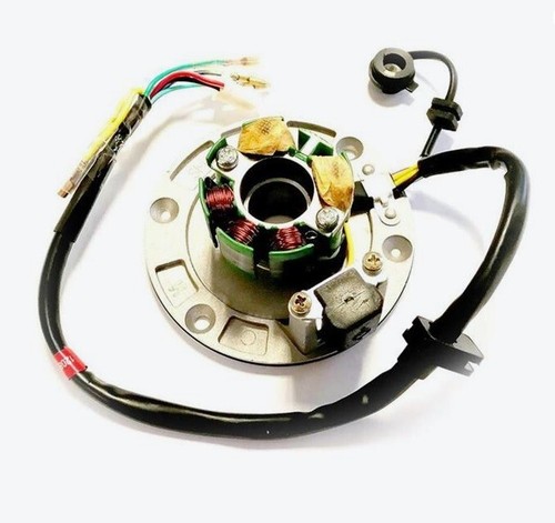 Statore magnete per motore - statore, zs